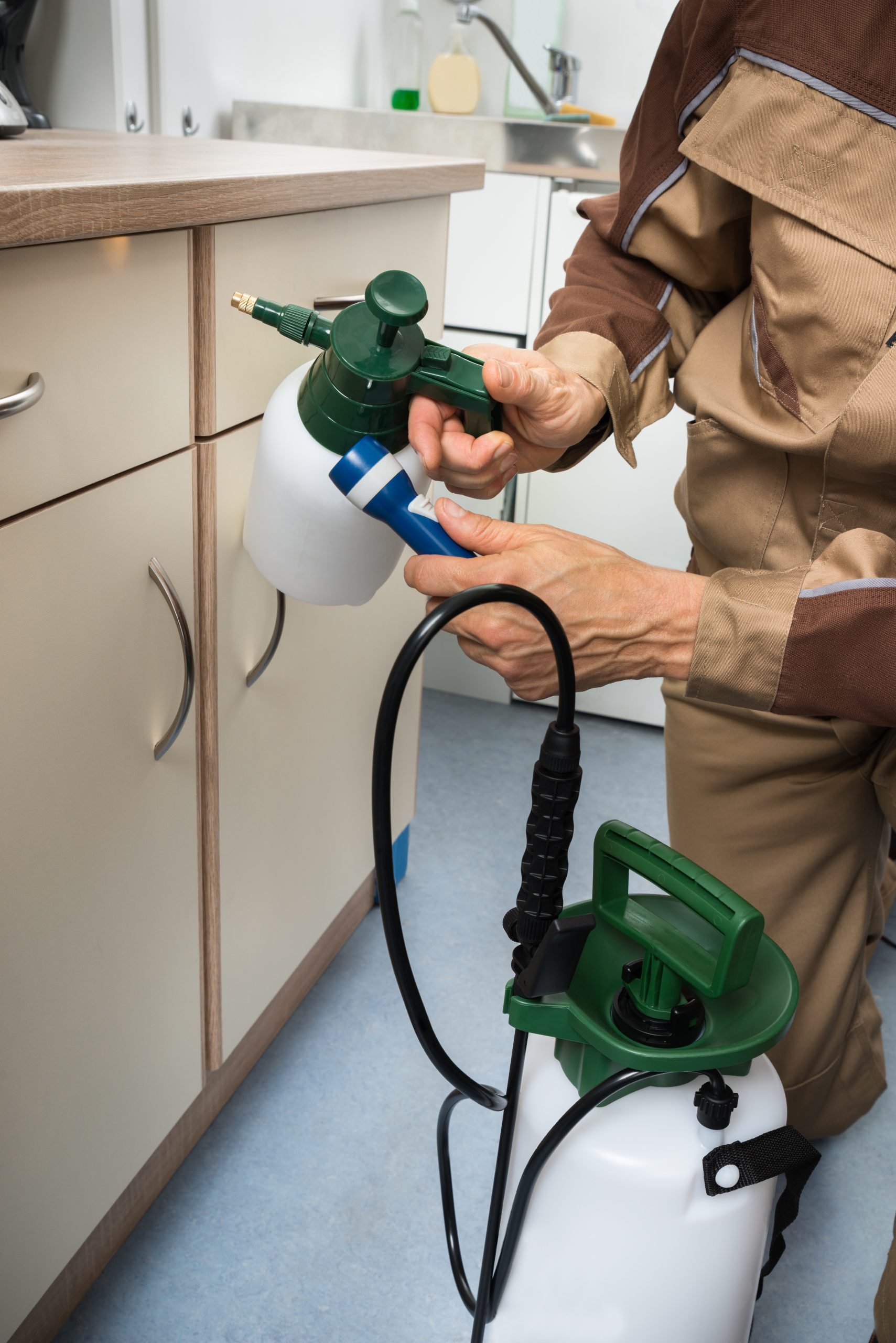 Close-up,Of,Pest,Control,Worker,Hand,Holding,Sprayer,For,Spraying Flooring being installed during renovations